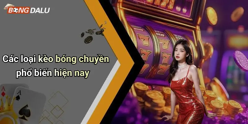 Các loại kèo bóng chuyền phổ biến hiện nay