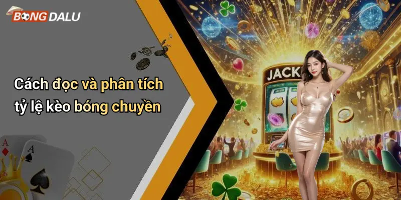 Cách đọc và phân tích tỷ lệ kèo bóng chuyền