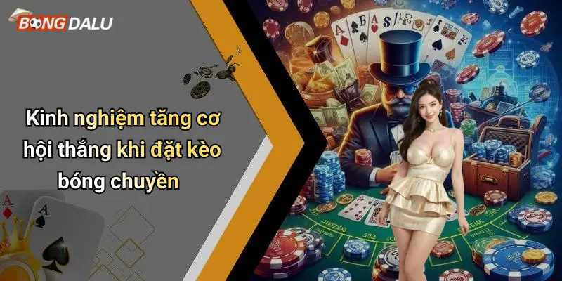 Kinh nghiệm tăng cơ hội thắng khi đặt kèo bóng chuyền