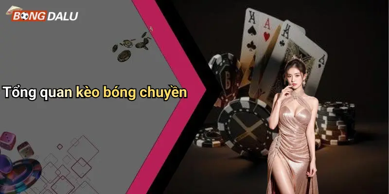 Tổng quan kèo bóng chuyền
