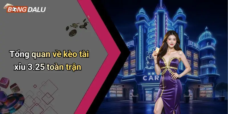 Tổng quan về kèo tài xỉu 3.25 toàn trận