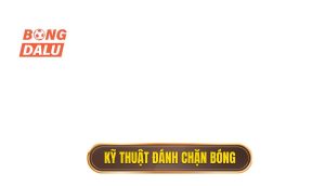 Kỹ thuật đánh chặn bóng