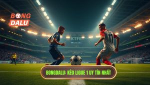 Phân Tích Chi Tiết Ligue 1 Trận Đấu Hôm Nay: Nhận Định Từ Chuyên Gia Bongdalu