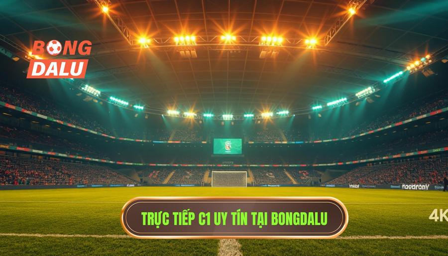 Live Match C1 Hôm Nay: Theo Dõi Đấu Trường Danh Giá Nhất Châu Âu Tại Bongdalu