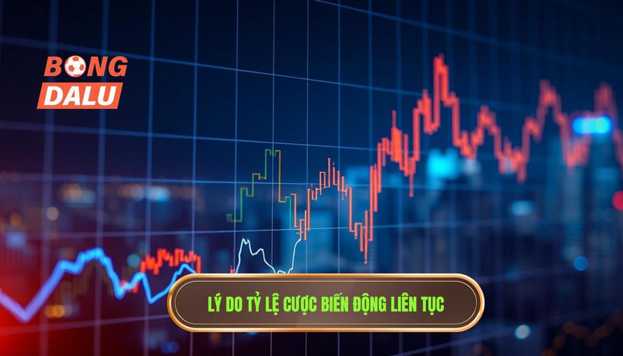 Tại sao tỷ lệ cược đêm nay lại biến động liên tục?